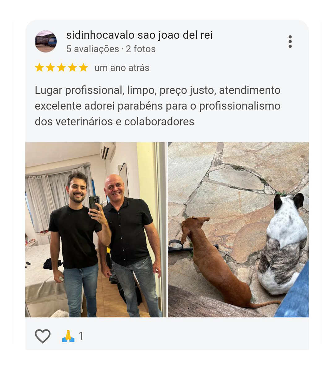 Depoimento de cliente CAMVET
